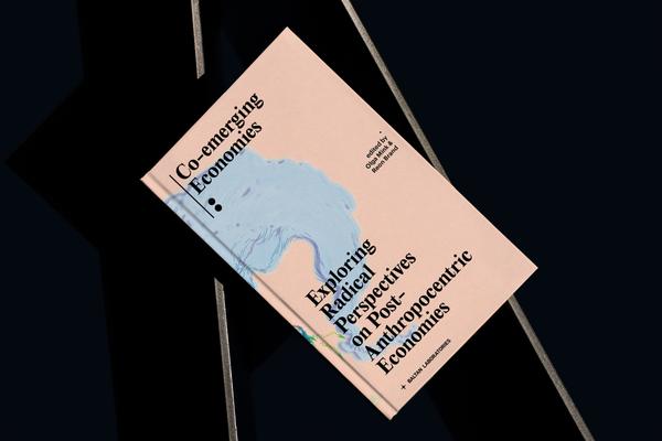 Co-Emerging Economies - Radical perspectives on post-anthropocentric economies.